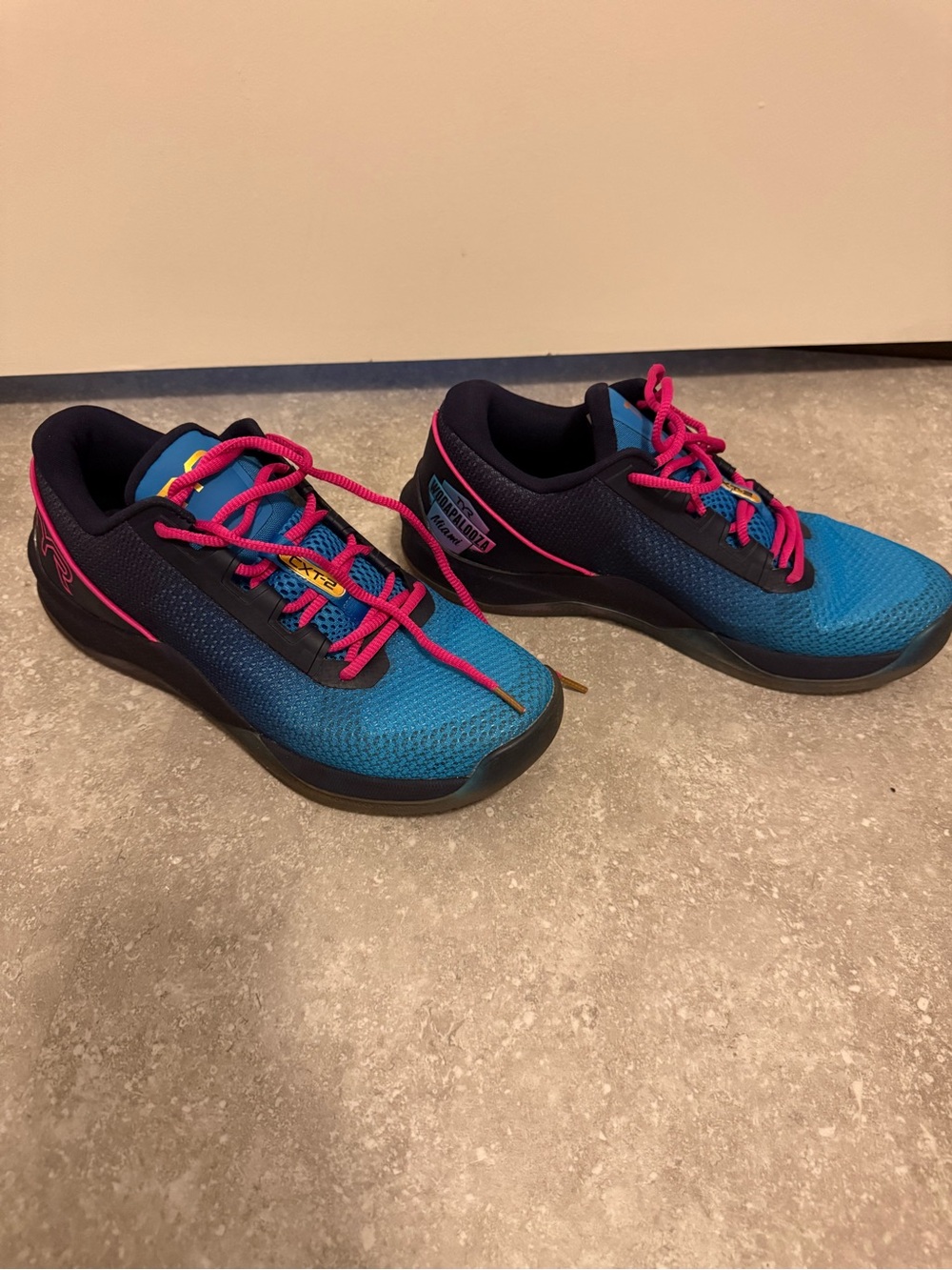 TYR wodapalooza CXT-2 sneakers